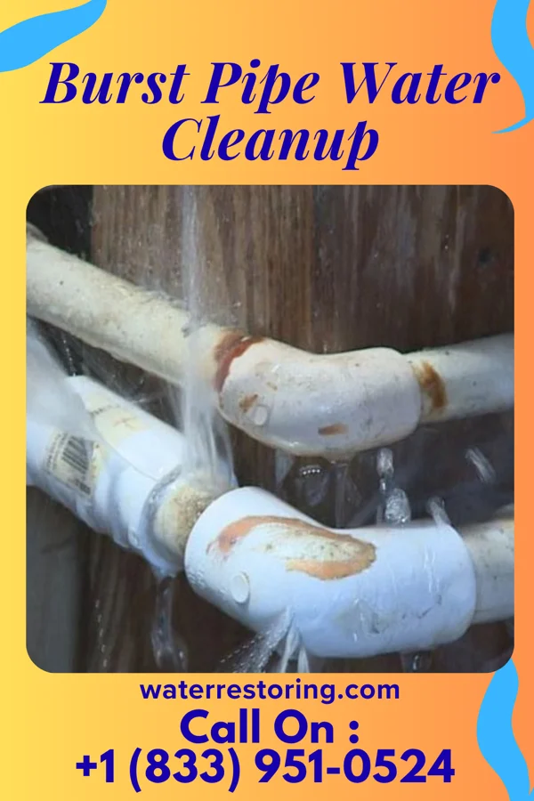 Burst Pipe Water Cleanup in Salamanca, NY