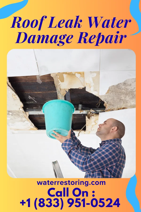 Roof Leak Water Damage Repair in Salamanca, NY