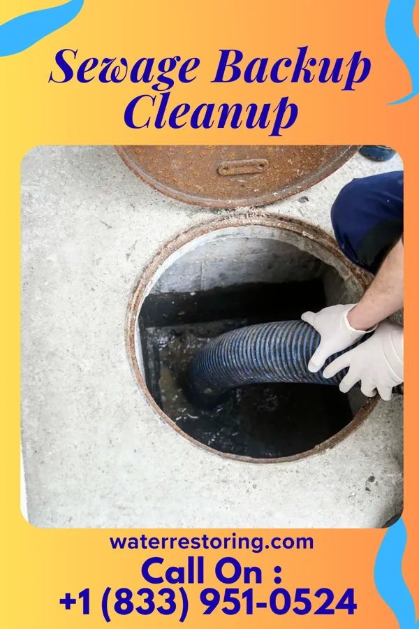 Sewage Backup Cleanup in Salamanca, NY