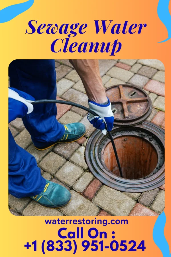 Sewage Water Cleanup in Salamanca, NY