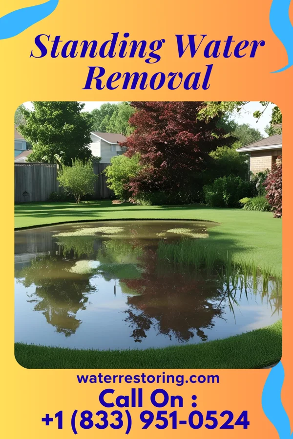 Standing Water Removal in Salamanca, NY